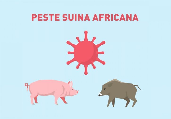 Peste suina africana