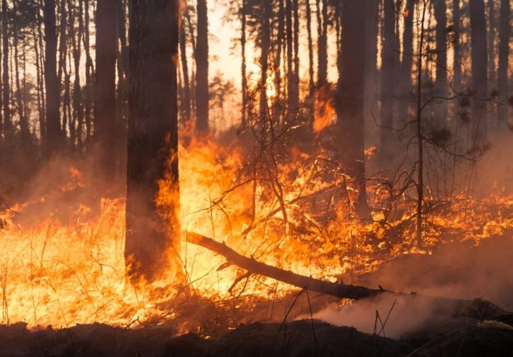 Stato di eccezionale pericolo circa la propagazione e l’innesco di incendi nei boschi. Decreto n. 398 del 29.07.2022 del Presidente della Regione.