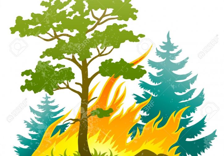 Revocato il decreto di pericolo propagazione  incendi boschivi